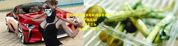 ECSTASY Богородицк