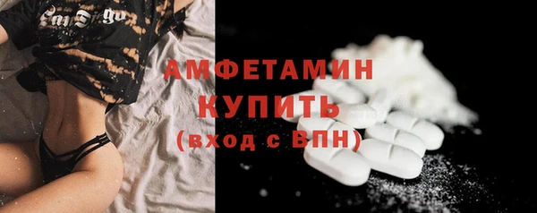 ECSTASY Богородицк