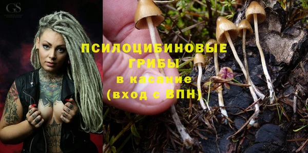 героин Богданович