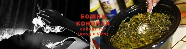 круглые Бронницы