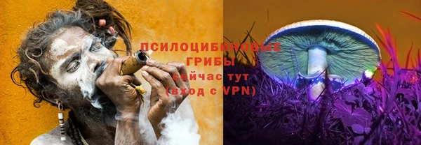 героин Богданович
